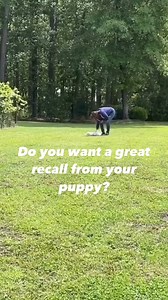 13K views · 98 reactions | ➡️Whether you use the cue “here” or “come”...