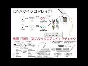 [講義] 生物_3.5.4 遺伝子組換え 医療への応用②(SNP解析とDNAマイクロアレイの概要)