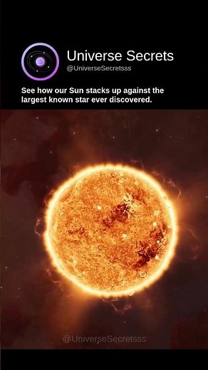 Beyond Imagination: The Sun vs. The Universe's Largest Star