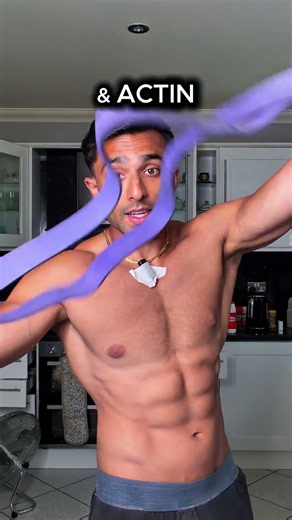 How muscle growth works ? #tips #health #muscle #fitness