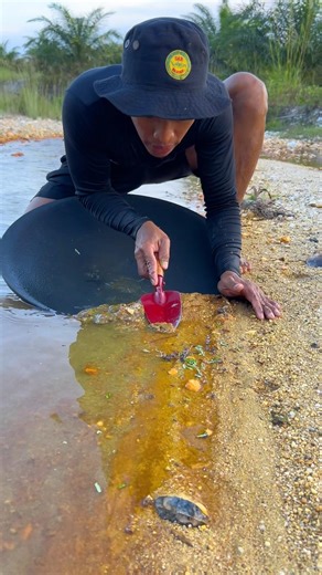 It's amazing to find gold grains under the weeds #goldfinding #golddiscovery #goldmining #goldpann