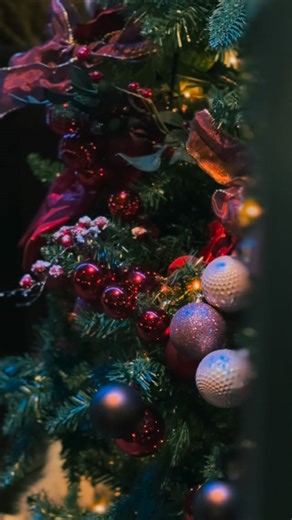 Step inside and feel the magic of the season. Christmas officially arrived at Arctic Light Hotel — an even Nanuk the polar bear couldn’t resist joining in.🎅🏻🐻 #arcticlighthotel #followthelight #boutiquehotel #christmasmagic #rovaniemihotelli | Arctic Light Hotel