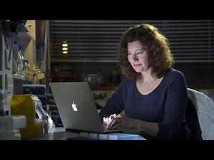 Richard III – The DNA Analysis & Conclusion