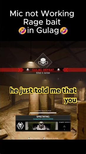 Mic Not Working In Gulag Rage Bait