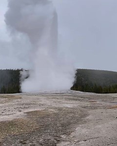 During one of its 20 daily eruptions, Old Faithful Geyser will expel anywhere between 3,700 and 8,400 gallons of water 130-140 feet into the air. For perspective, the average American household uses 400 gallons of water per day. The geyser’s water can reach 203 F and the steam near its vent has been measured at 350 F. As Yellowstone National Park reopens for the summer season, be sure to respect the wildlife, stay on designated walkways and enjoy one of the most unique ecosystems on Earth! | Exp