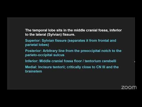 Temporal Lobe Anatomy Explained | Structure, Boundaries & Functions Simplified (Part 1)