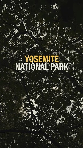 Amerikanische National Parks sind nicht nur weitläufig, sondern auch oft legendenumwoben. 🌲🌙 Im Yosemite National Park gibt es Legenden über den alten verlassenen Blood Moon Trailer Park oder den degenerierten Clan der Red Root Kin, der sich in Höhlen versteckt.🪓⛰️ Seit 1890 gibt es viele Touristen, die verschwunden sind. Dabei ist es unklar, ob sie sich nur verlaufen haben oder an den Legenden doch mehr dran ist, als man annehmen möchte. Also seid immer wachsam, vor allem in der Nähe des Tra