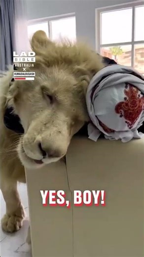 When Your Pets Are Apex Predators 🦁😳