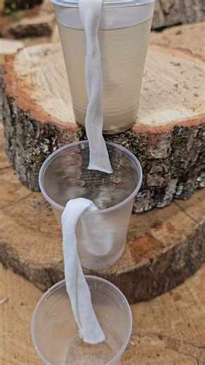 Water Filtration System #creativesurvival #bushcraft #survival