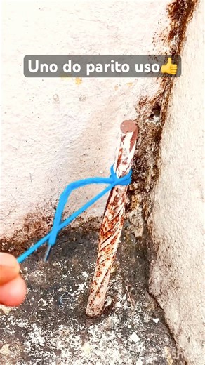 #ihavethisthingwithplants #knot #snake #dothingsyoudontwanttodo