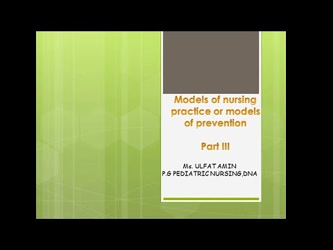 Nola Pender Health Promotion Model, Nursing models -III