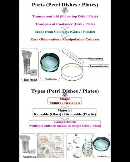 Principle and Parts and Types of Petri Dishes or Plates #geneticteacher