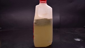 Comparing Fresh and Spoiled Milk Under a Microscope