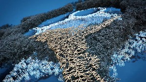 XPC2017 - Reaction diffusion