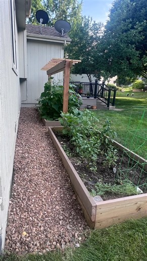 Build a Raised Bed Garden Pergola Trellis for your backyard
