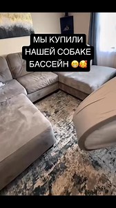 МЫ КУПИЛИ НАШЕЙ СОБАКЕ БАССЕЙН 😁🥰 | Mirror Europe