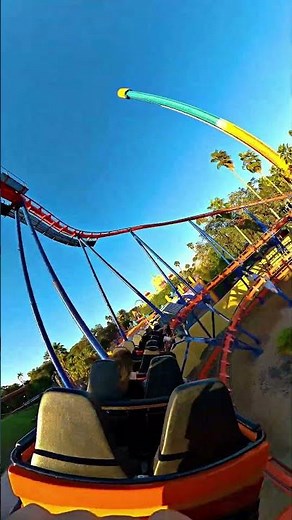 Scorpion at Busch Gardens Tampa