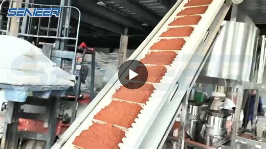 Seasoning Granule Production Line for Controlled Granulation | Lisa Zeng posted on the topic | LinkedIn