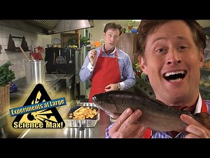 Best Of Cooking With Science | Season 2 | Science Max - Videos For Kids