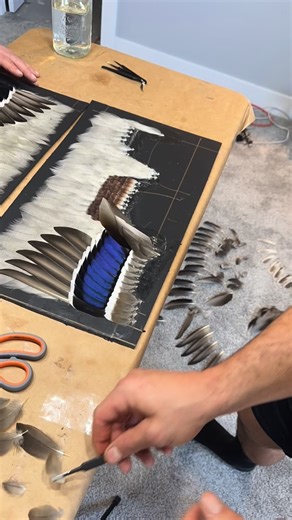 Timelapse of the new Mallard Feather Art and it turned out awesome! Which duck that we have done is your favorite? COMMENT BELOW! #Ducks #DuckHunting #DuckTaxidermy #FeatherArt #Mallard | All Feathers Taxidermy
