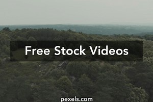 Candy%2BDolls%2BArt%2BModeling