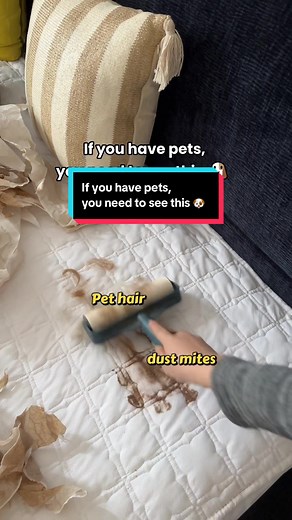 Understanding Dust Mite Allergies in Pets