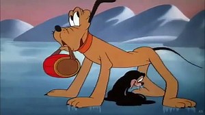 Pluto 1947 Rescue Dog