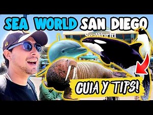 SEA WORLD SAN DIEGO! 🐬 Prices, Shows, COMPLETE Guide🇺🇸✅