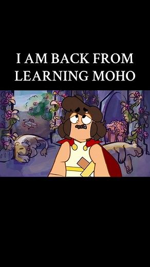 Back from Learning Moho: My Experience and Style