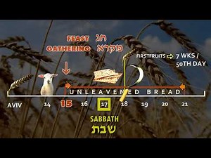 First Fruits . Counting the Omer . Biblical Holy Feast days