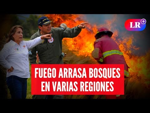 ¿Cuál es el verdadero origen del aumento de incendios forestales?: esto dijo un ecólogo