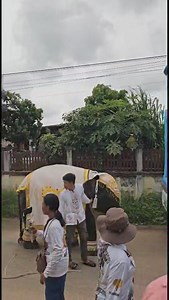 1.3M views · 10K reactions | ‼️ #วินาทีระทึก วิ่ง 4x 100 เมตร | เอี๋ยวลั่นทุ่งเชิ๊บๆ | Facebook