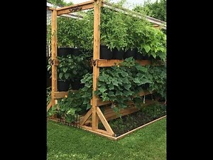 The Amazing Double Decker Rain Gutter Grow System! Made In Canada!