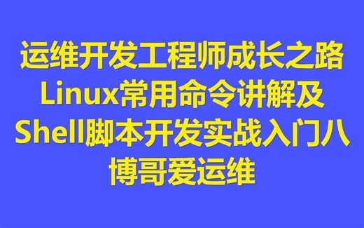Linux常用命令讲解及Shell脚本开发实战入门八