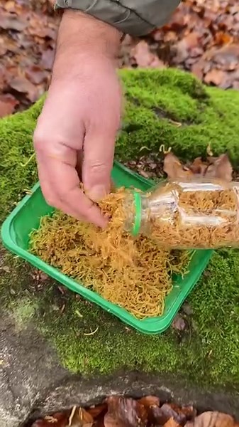 1.6M views · 9.2K reactions | Survival Skills lifehacks: Amazing Soap Firestarter. #survival #skills #camping #outdoors #lifehacks #fire #bushcraft #Ideas | Sergio Outdoors | Facebook