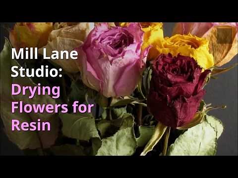 How to Quickly Dry Flowers with silica gel in the Microwave