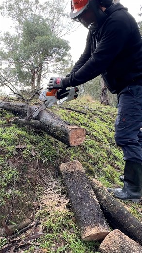 25K views · 197 reactions | The most expensive but most impressive pruning saw I’ve tried! | Turf And Tools | Facebook