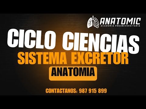 SISTEMA EXCRETOR | CICLO CIENCIAS