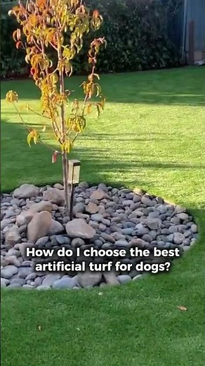 Choosing the right artificial turf for dogs means more than just good looks!