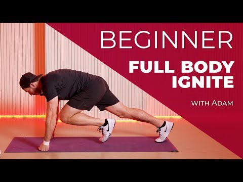 Steady Cardio to Ignite Your Full Body