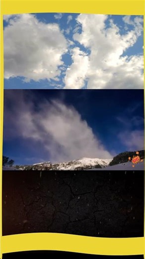 Birds Singing — Morning Nature Sounds in 4K