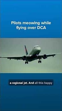 'Meow, Woof!' Pilots make animal sounds while flying over DCA