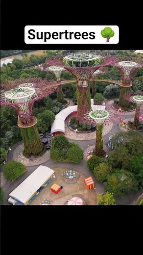 Supertree Grove in Singapore's Gardens by the Bay #travel #explore #singapore