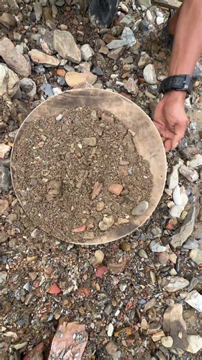 found scattered material that turned out to contain a lot of gold dust.