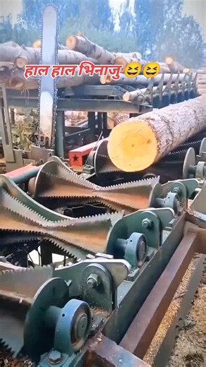 हाल हाल भिनाजु 😆😆 #creatorsearchinsights2025 #creatorsearchinsight #creatorsearchinsights #fypシ #fyp