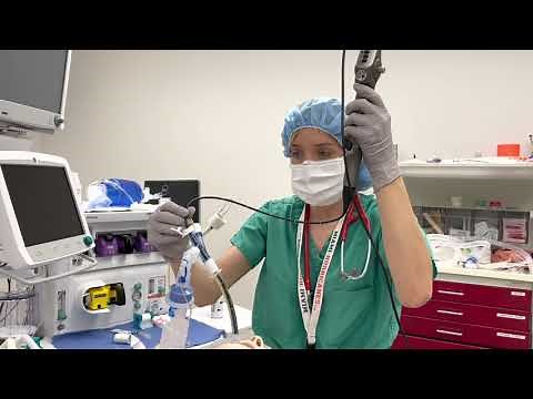 Bronchial Blocker Insertion