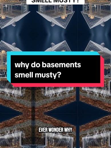 That “old basement smell” isn’t just age. Your house is constantly pulling air from the soil beneath it. That air carries moisture… and sometimes radon. If it smells musty, the problem usually isn’t inside the house. It’s under it. Most homeowners never think about what their foundation is breathing in. Test your home. #HomeMaintenance #BasementProblems #Radon #IndoorAirQuality #HomeInspection