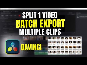 Batch Export Multiple Videos Clips in DaVinci Resolve | Time and Effort Saving Tool