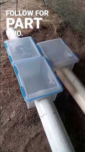 DIY RABBIT BURROWS FOR RABBIT COLONY 🐇🐰 Upgrading the bucket burrows #meatrabbits #rabbitcolony