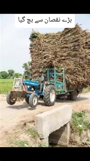 Avoiding Significant Loss as a Farmer